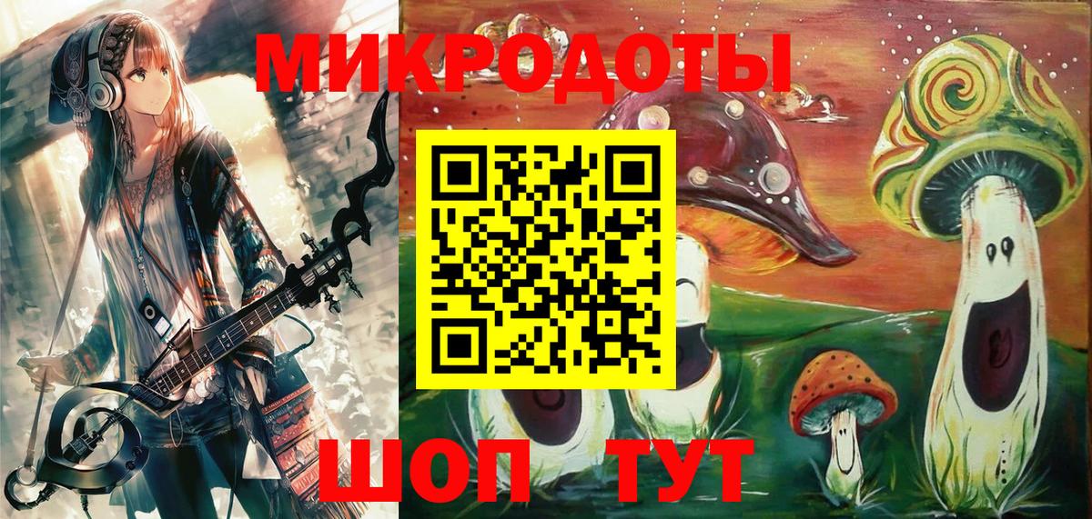 Бузулук  Псилоцибиновые грибы Psilocybe  Вход с VPN  Галлюциногенные грибы прущие грибы 